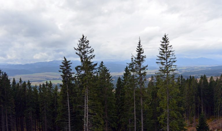 Strebske Pleso lake