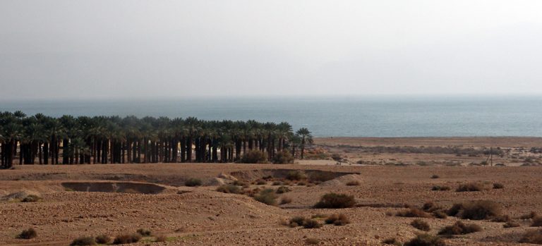 Ein Gedi Nature Reserve