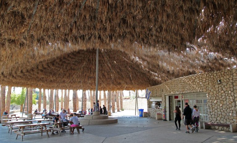 Ein Gedi Nature Reserve