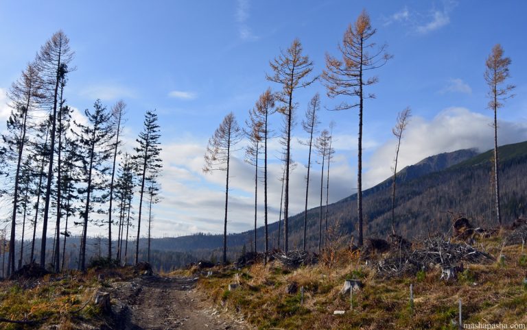 Tatranska Lomnica – Hrebienok trail