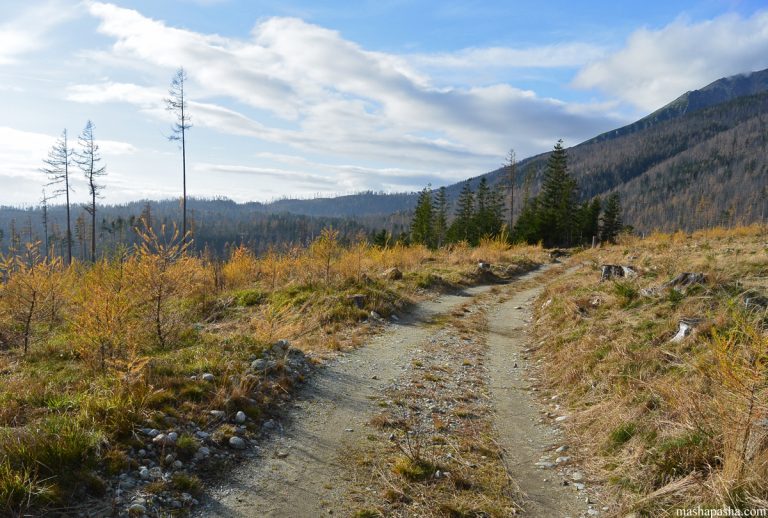 Tatranska Lomnica – Hrebienok trail