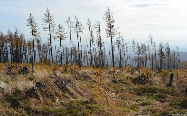 Tatranska Lomnica – Hrebienok trail