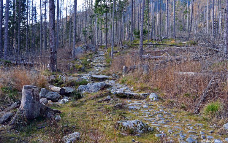Tatranska Lomnica – Hrebienok trail