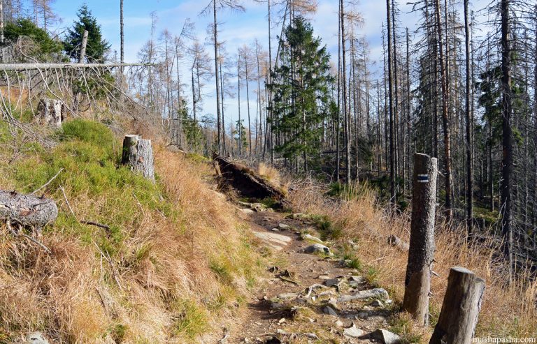 Tatranska Lomnica – Hrebienok trail