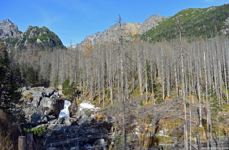 Tatranska Lomnica – Hrebienok trail