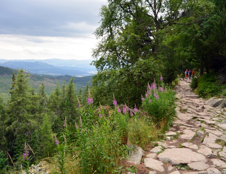 Hiking route from Lake Poprad to Shtrebske pleso