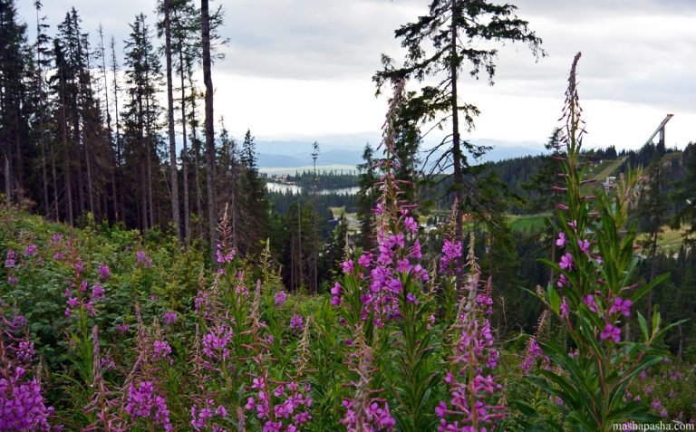 Hiking route from Lake Poprad to Shtrebske pleso