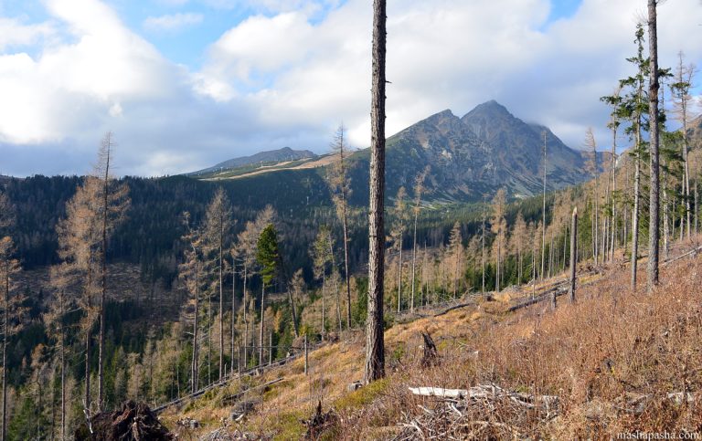 Hiking route from Lake Poprad to Shtrebske pleso