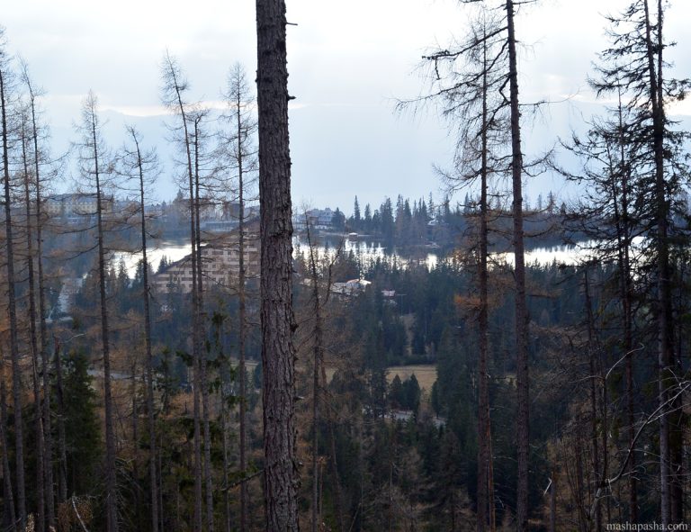 Hiking route from Lake Poprad to Shtrebske pleso