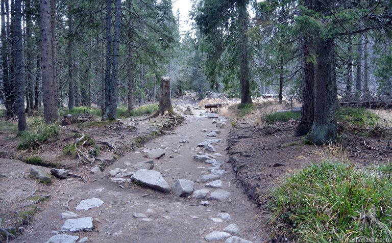 Hiking route from Lake Poprad to Shtrebske pleso