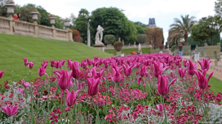 Luxembourg Palace & Medici Gardens, Paris