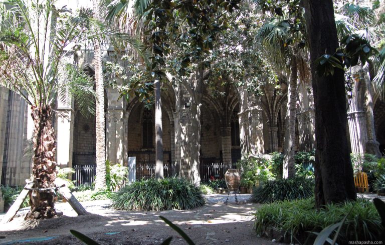 Barcelona Cathedral