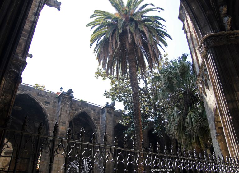 Barcelona Cathedral