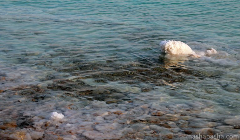 Dead Sea beach / Ein Gedi, Israel