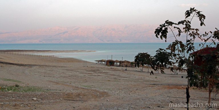 Dead Sea beach / Ein Gedi, Israel
