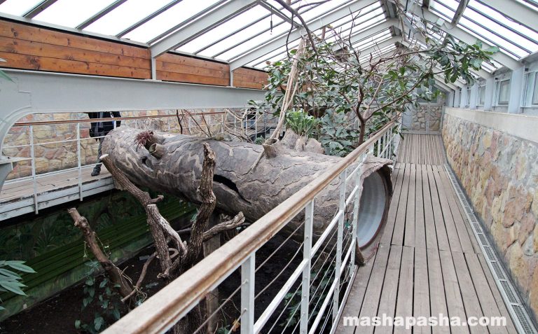 Budapest Zoo, Hungary