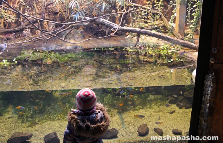 Budapest Zoo, Hungary