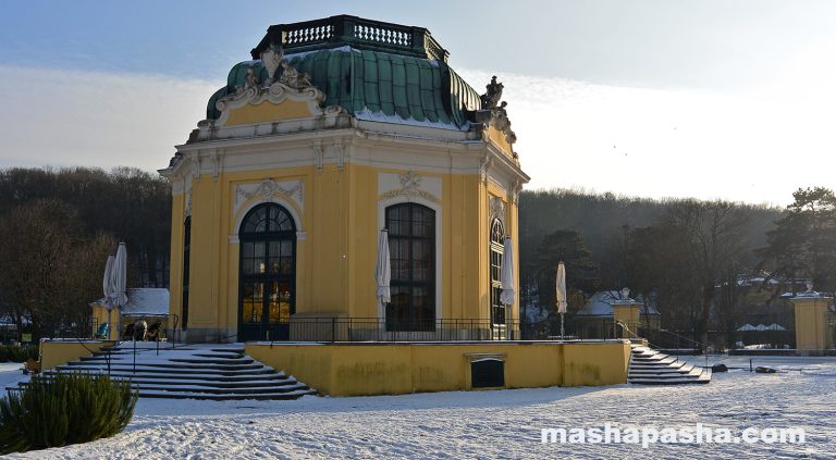Vienna Schönbrunn Zoo