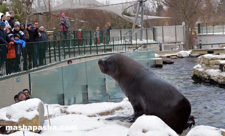 Vienna Schönbrunn Zoo