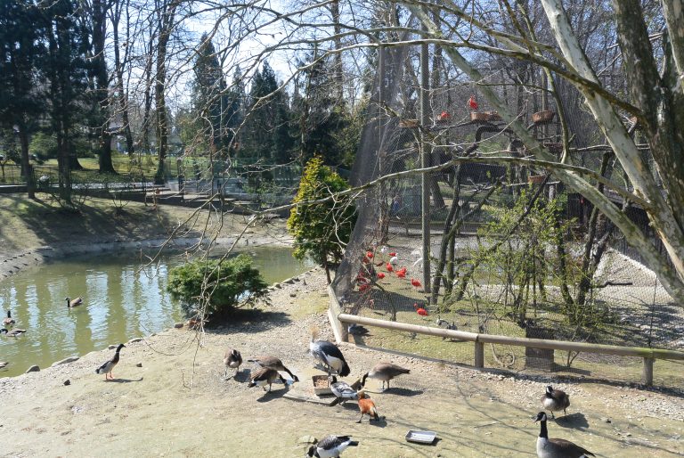 Krakow Zoo, Poland