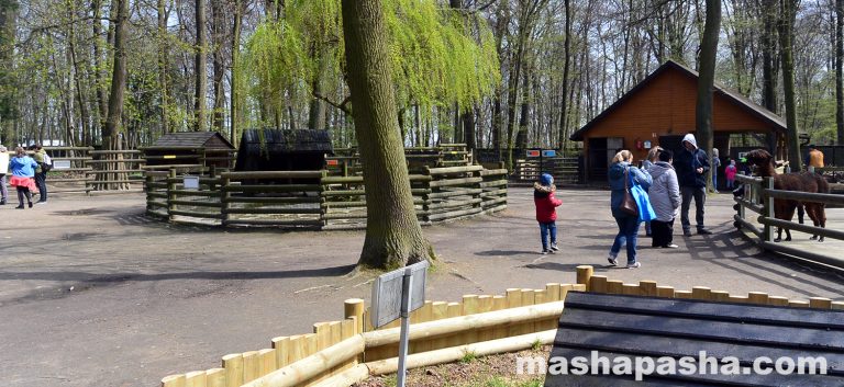 Krakow Zoo, Poland