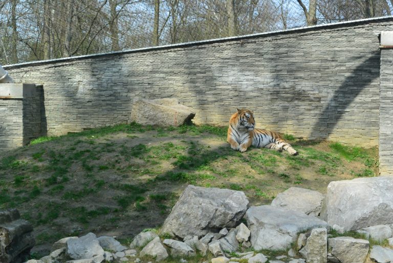 Krakow Zoo, Poland