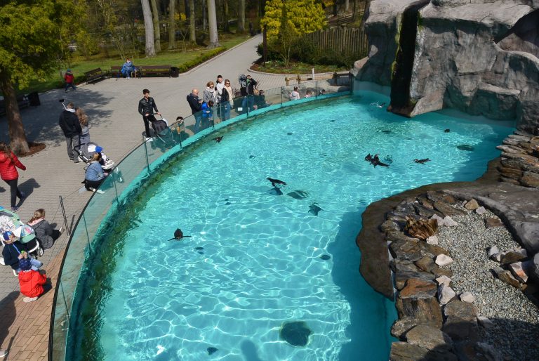 Krakow Zoo, Poland