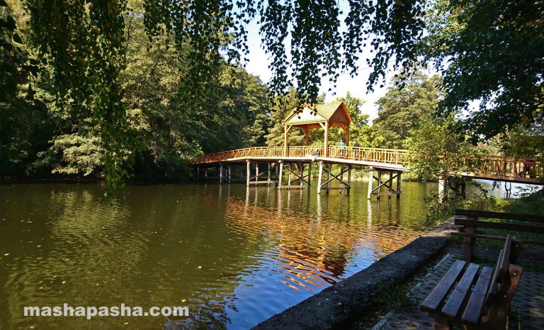 Parco Puscha-Voditsa