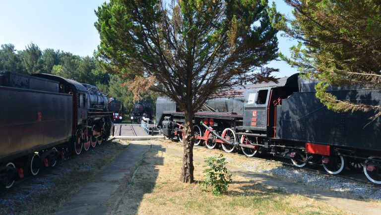 Musée de la locomotive à vapeur à Çamlık