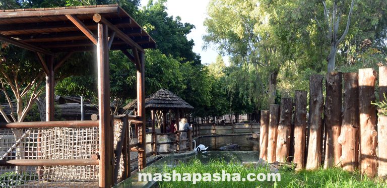 Limassol Zoo, Cyprus