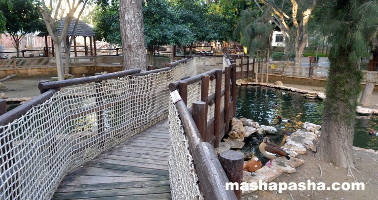 Limassol Zoo, Cyprus