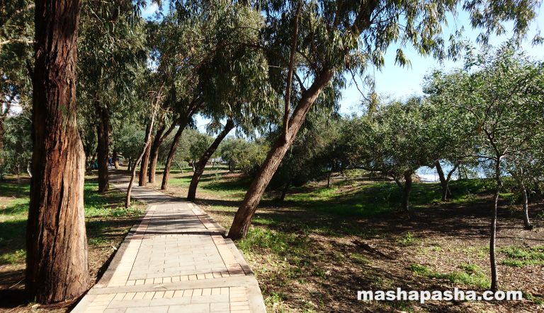Dasoudi Beach, Limassol, Cyprus
