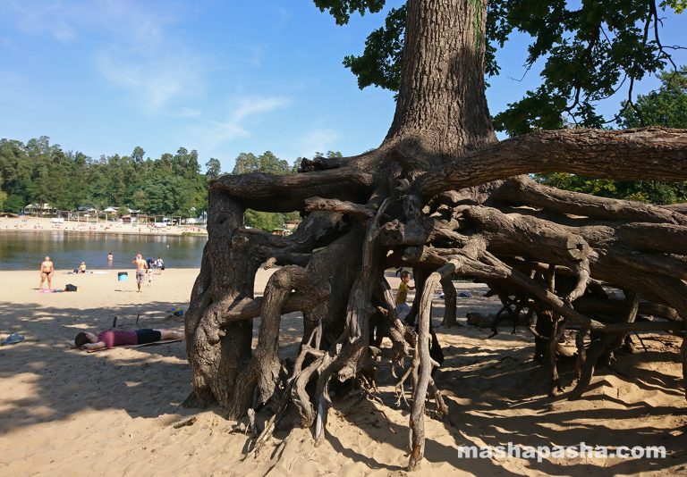 Lago e spiaggia di Puscha-Voditsa, Kiev, Ucraina