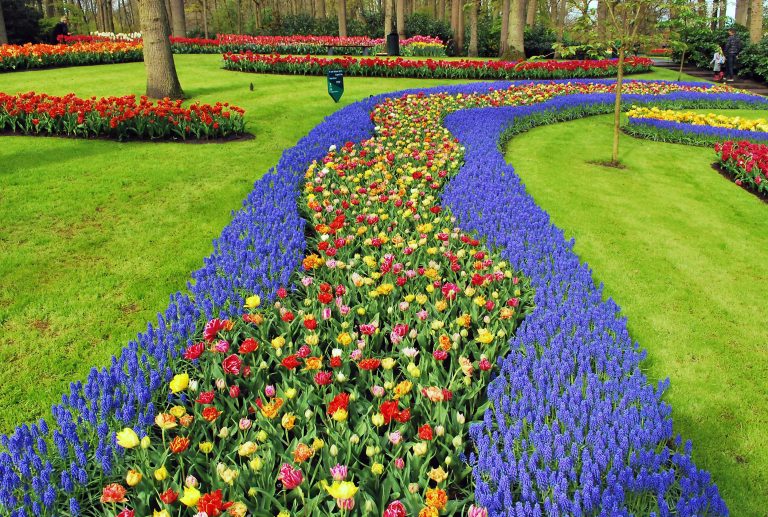 Keukenhof garden, Lisse, Netherlands