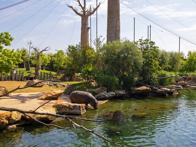 Beauval Zoo, France
