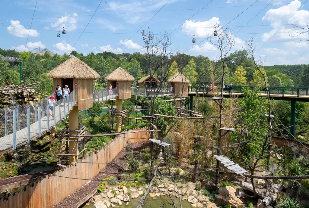 Beauval Zoo, France
