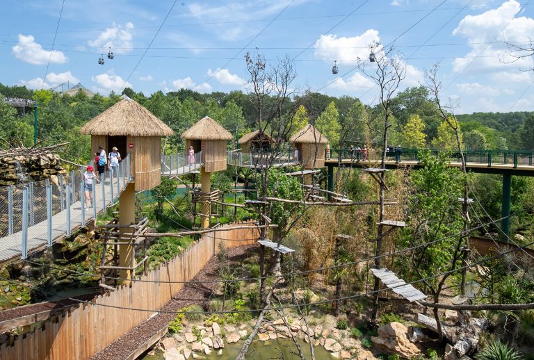 Beauval Zoo, France