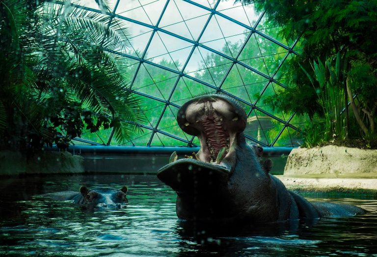 Zoo de Berlín, Alemania