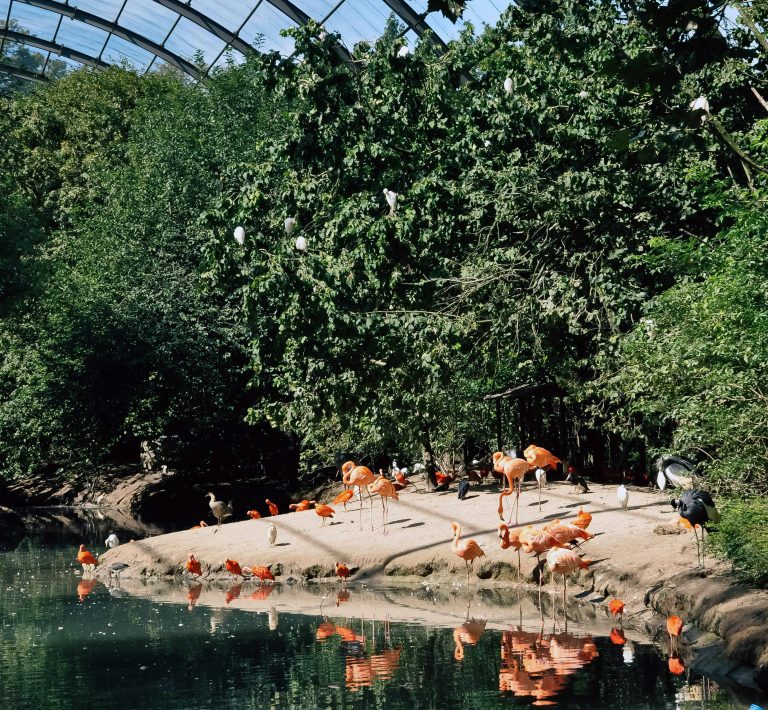 Pairi Daiza, Brugelette, Belgio
