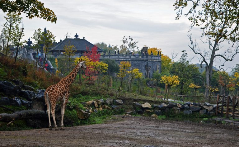 Pairi Daiza, Brugelette, Belgio