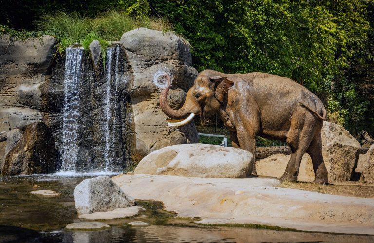 Prague Zoo, Czechia