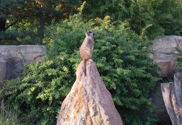 Zoo de Leipzig, Alemania
