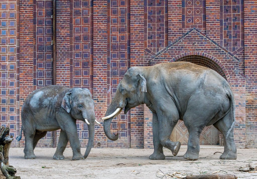 Zoo Leipzig, Germany