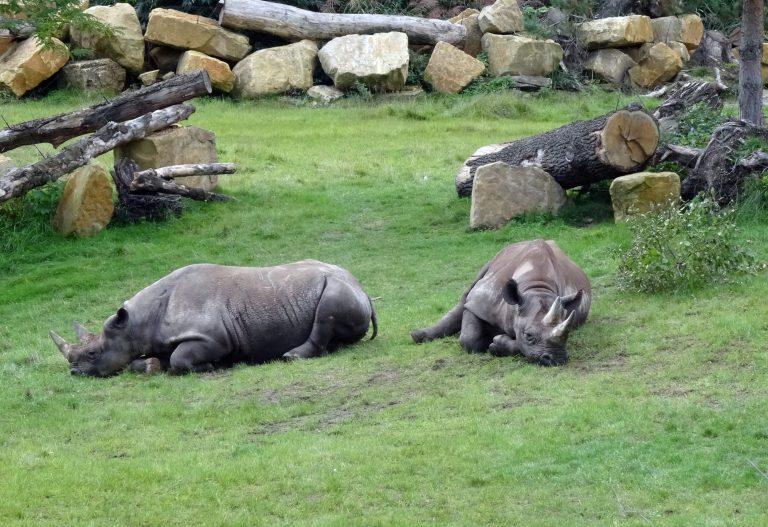 Zoo de Leipzig, Alemania