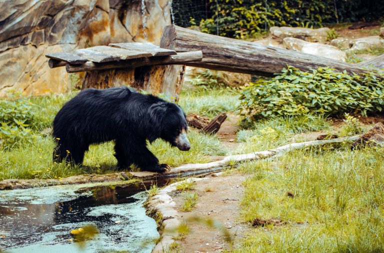 Zoo de Leipzig, Alemania