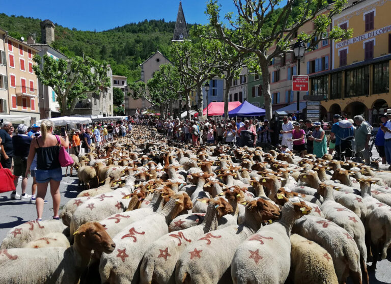 Fête de la Transhumance, Castellane / Provence, France