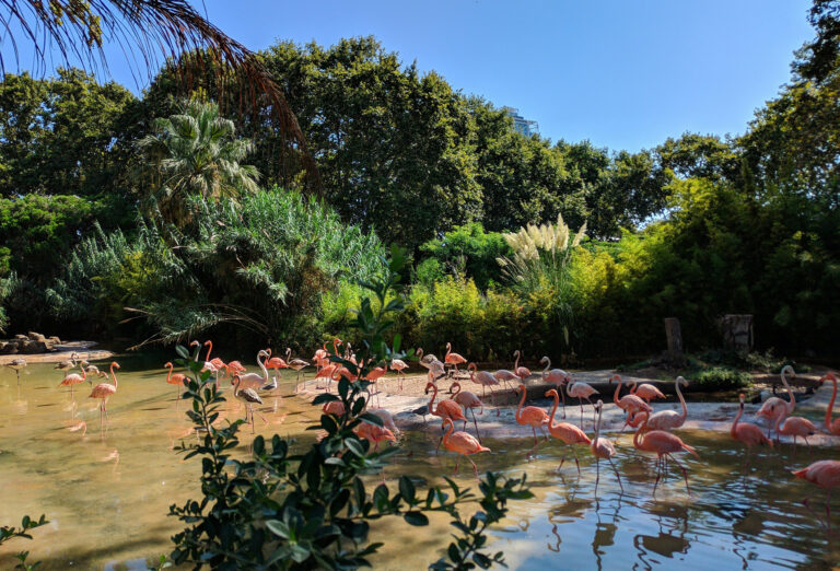 Barcelona Zoo, Spain