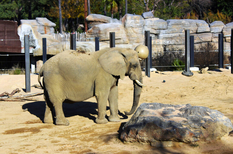 Barcelona Zoo, Spain