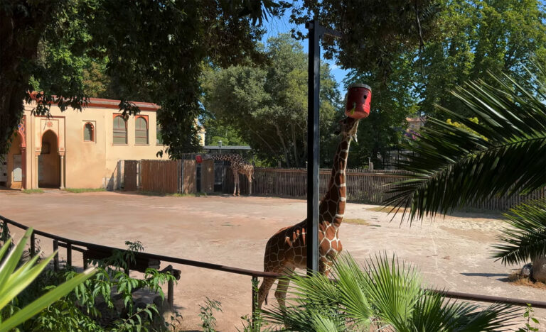 Bioparco di Roma Zoo, Italy
