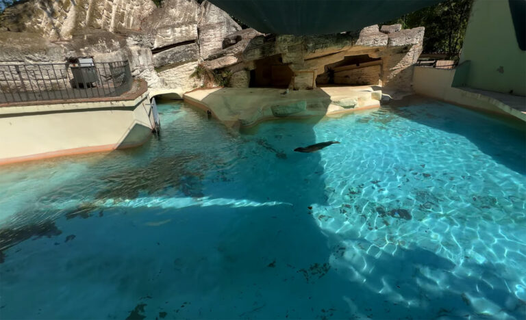 Bioparco di Roma Zoo, Italy